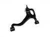 控制臂 Control Arm:RBJ 500193