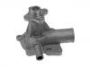 Wasserpumpe Water Pump:5 013 274