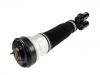 Stoßdämpfer Shock Absorber:220 320 21 38