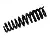 Fahrwerksfeder Coil Spring:163 320 23 13