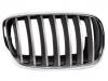 Kühlergitter Grille Assembly:51 13 7 185 224