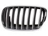 Kühlergitter Grille Assembly:51 13 7 185 223