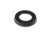 Oil Seal Oil Seal:230 997 02 46