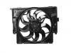 Radiator Fan Radiator Fan:17 42 8 641 964