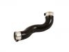 Ansaugschlauch, Luftfilter Intake Pipe:246 528 06 82