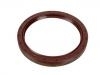 Wellendichtring, Kurbelwelle Crankshaft Oil Seal:11 14 1 706 785