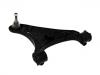 Control Arm:RBJ 500232