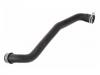 Radiator Hose:2515011382