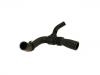 Radiator Hose:271 200 25 52