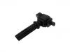 Ignition Coil:5121001