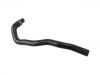 Radiator Hose:64 53 9 119 192