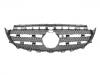 Grille Assembly:213 888 02 23