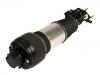 Amortiguador Shock Absorber:211 320 60 13