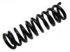 Muelle de chasis Coil spring:202 324 20 04