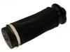 Air Suspension Boot, Air Suspension:164 320 06 25