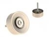 Polea loca, polea tensora Idler Pulley:958 102 118 01