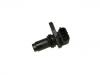 Sensor, posición arbol de levas Camshaft Sensor:31272689