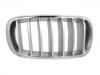 Panal de radiador Grille Assembly:51 11 7 303 108