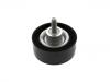 Polea loca, polea tensora Idler Pulley:LR073726