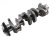 Cigüeñal Crankshaft:651 030 25 01