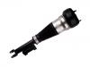 Amortiguador Shock Absorber:222 320 47 13