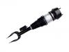 Amortiguador Shock Absorber:166 320 13 13