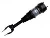 Air Suspension Boot, Air Suspension:166 320 74 13