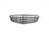 Panal de radiador Grille Assembly:204 880 14 83