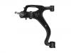 Brazo de suspensión Control Arm:RBJ 500456