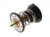 Termostato, refrigerante Thermostat:11 51 8 512 234