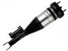 Amortiguador Shock Absorber:205 320 48 68