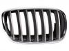 Grille Assembly:51 13 7 185 224