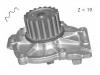 Bomba de agua Water pump:274 216