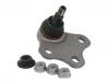 Rótula de dirección Ball Joint:8J0 407 366