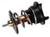 Termostato, refrigerante Thermostat:03H 121 113 A