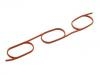 прокладка впускной трубы Intake Manifold Gasket:11 61 1 740 069