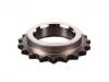 Шестерня, коленчатый вал Crankshaft Gear:11 31 7 502 180