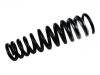 венцивидная пружина Coil Spring:163 320 18 13