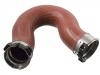 Рвпускная труба Intake Pipe:906 528 50 82
