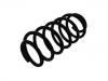 венцивидная пружина Coil spring:LR019981
